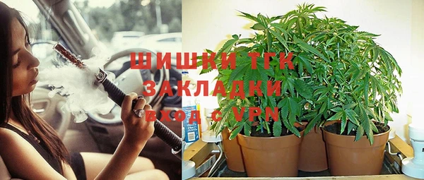 прущие грибы Кукмор
