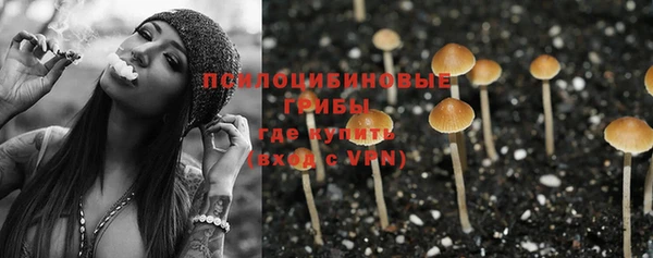 мдпв Кулебаки