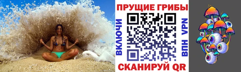 Псилоцибиновые грибы Magic Shrooms  Дзержинск 